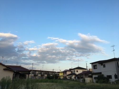 b0330040_22371400.jpeg