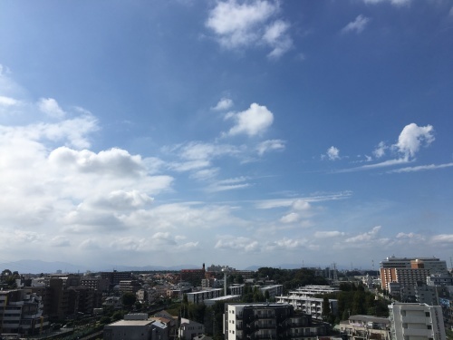 b0330040_22444393.jpeg