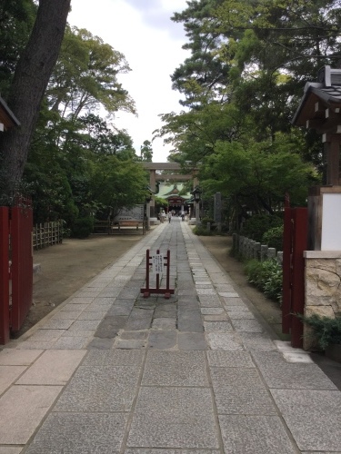 c0136441_16403858.jpeg