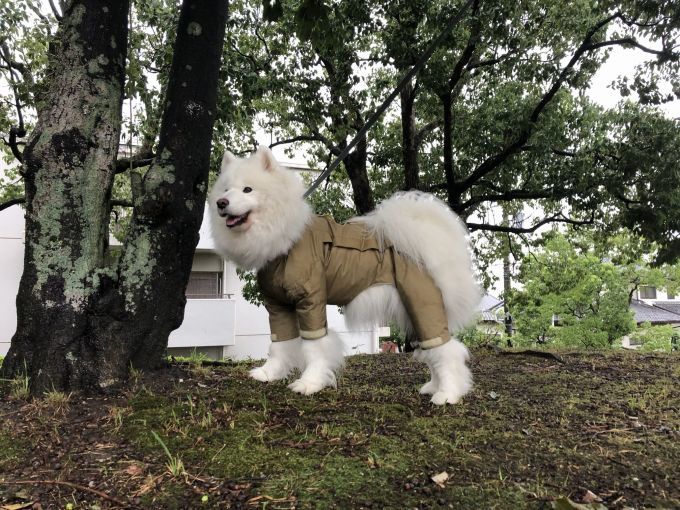 9月の雨_f0128542_14333161.jpg