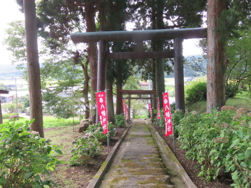 b0238249_20343941.jpg
