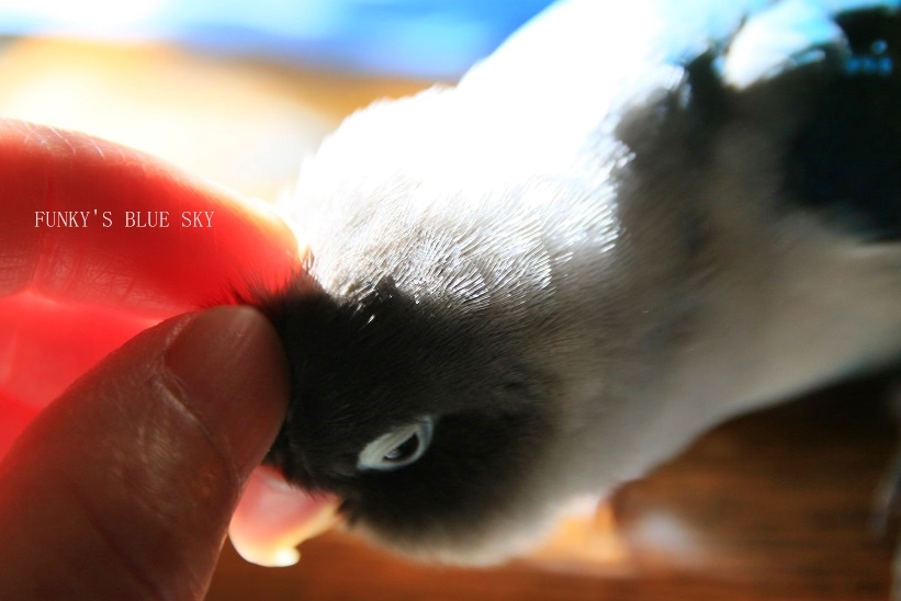 c0145250_11202900.jpg