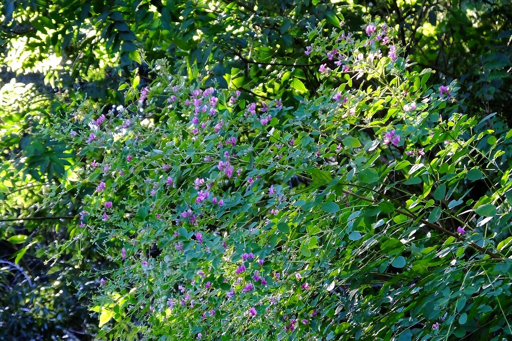 b0236251_10415961.jpg