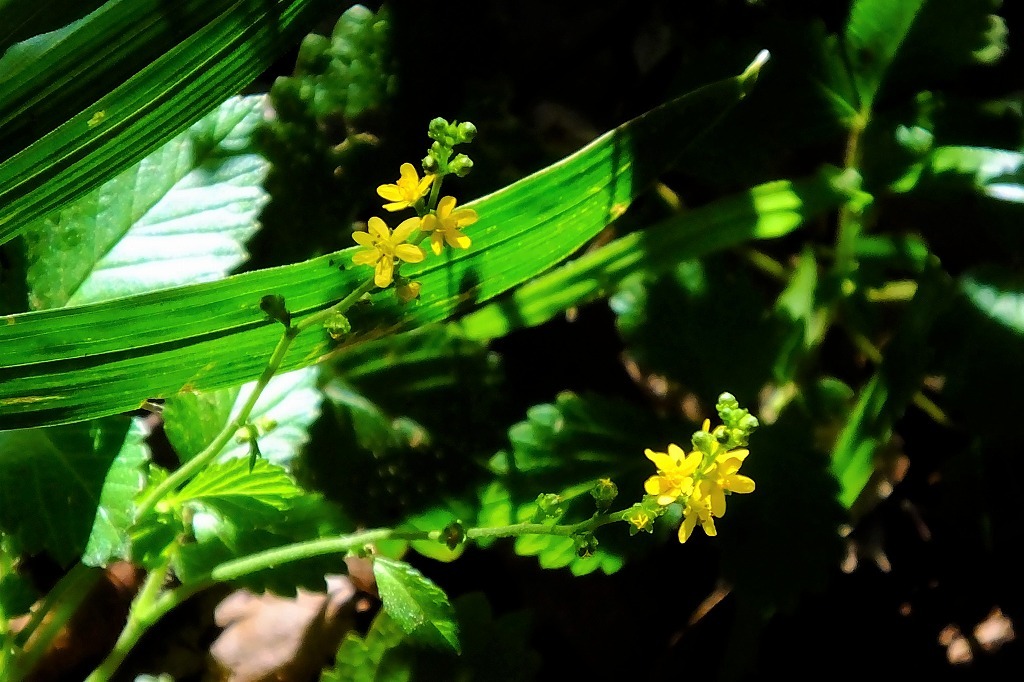 b0236251_10435160.jpg