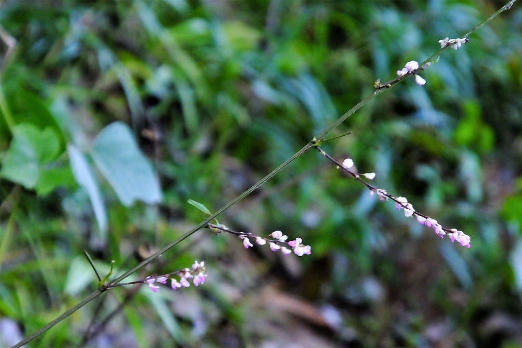 b0236251_10440173.jpg