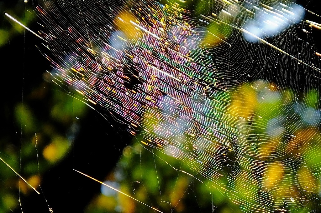 b0236251_10465546.jpg
