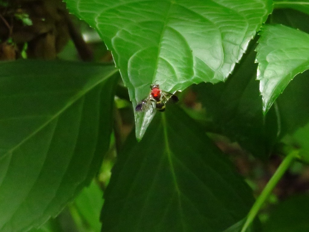 a0018655_09165030.jpg