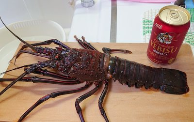 e0364056_12105492.jpg