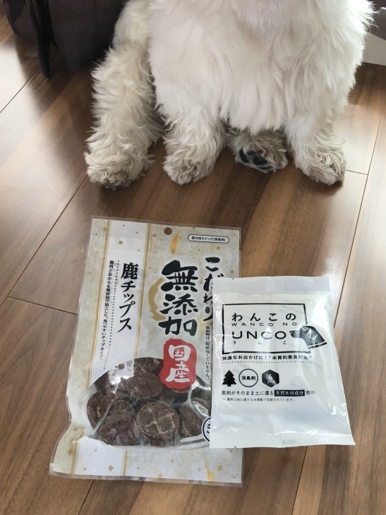 f0363961_12503468.jpeg