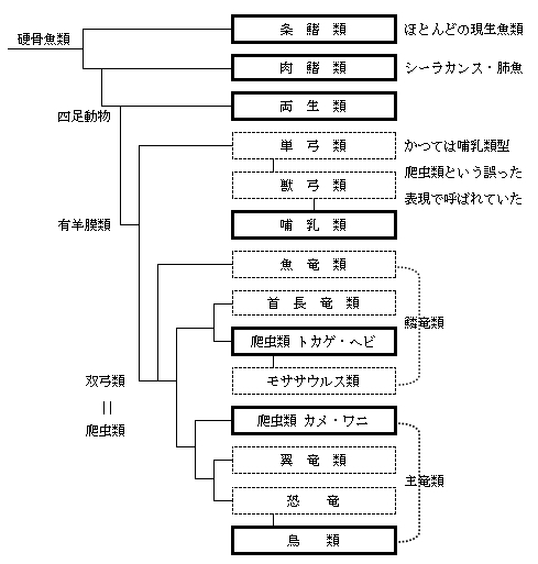 羊膜類