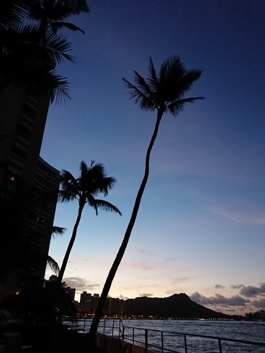 c0100865_17382879.jpg