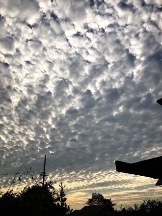 f0231568_18400155.jpeg