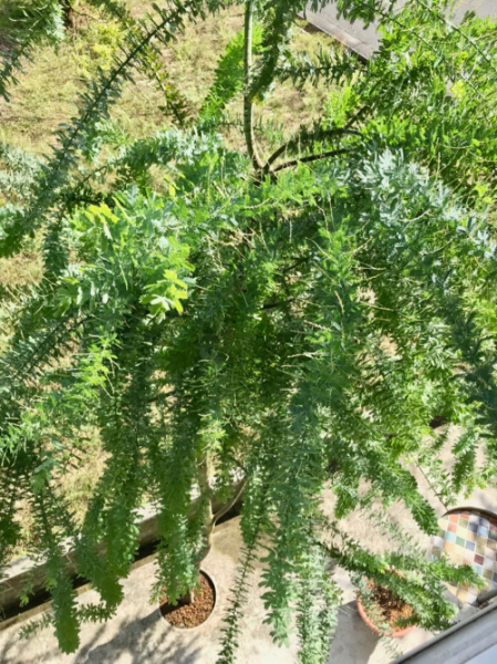 b0299869_10444895.jpg