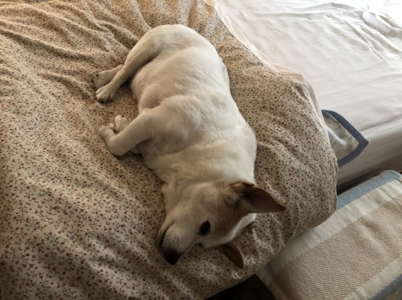 e0106372_10030159.jpeg