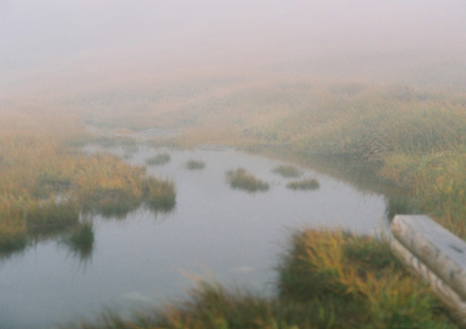 e0307372_10215317.jpg
