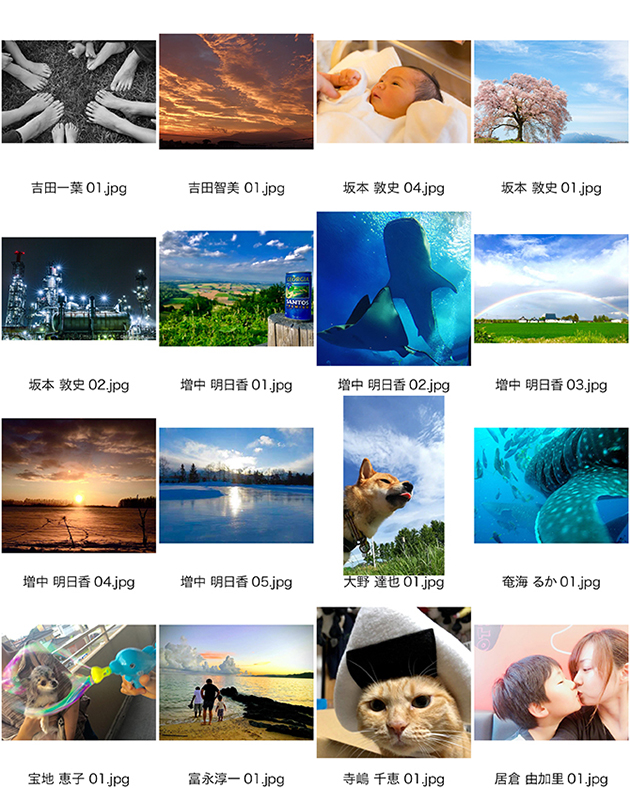 第一回写真コンテスト(かさこ主宰)作品紹介!_e0171573_2051448.jpg