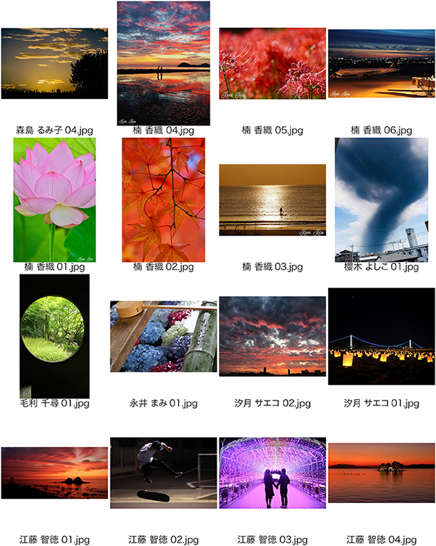 第一回写真コンテスト(かさこ主宰)作品紹介!_e0171573_20515913.jpg