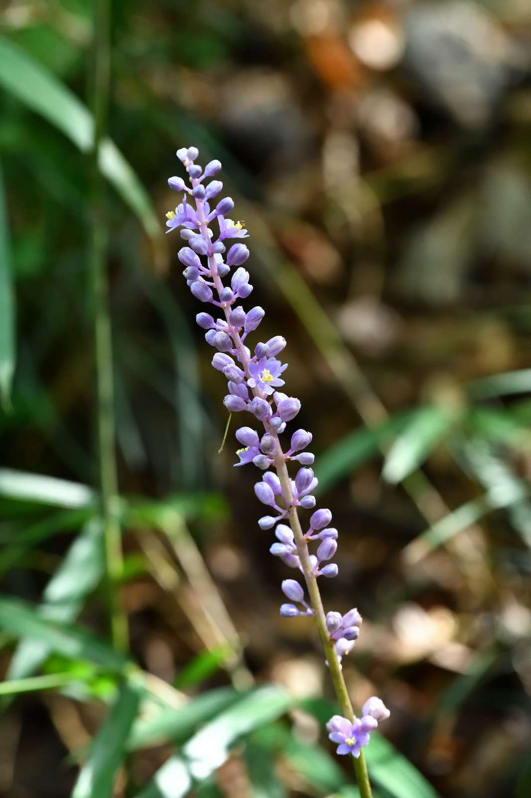 d0328977_20081617.jpg