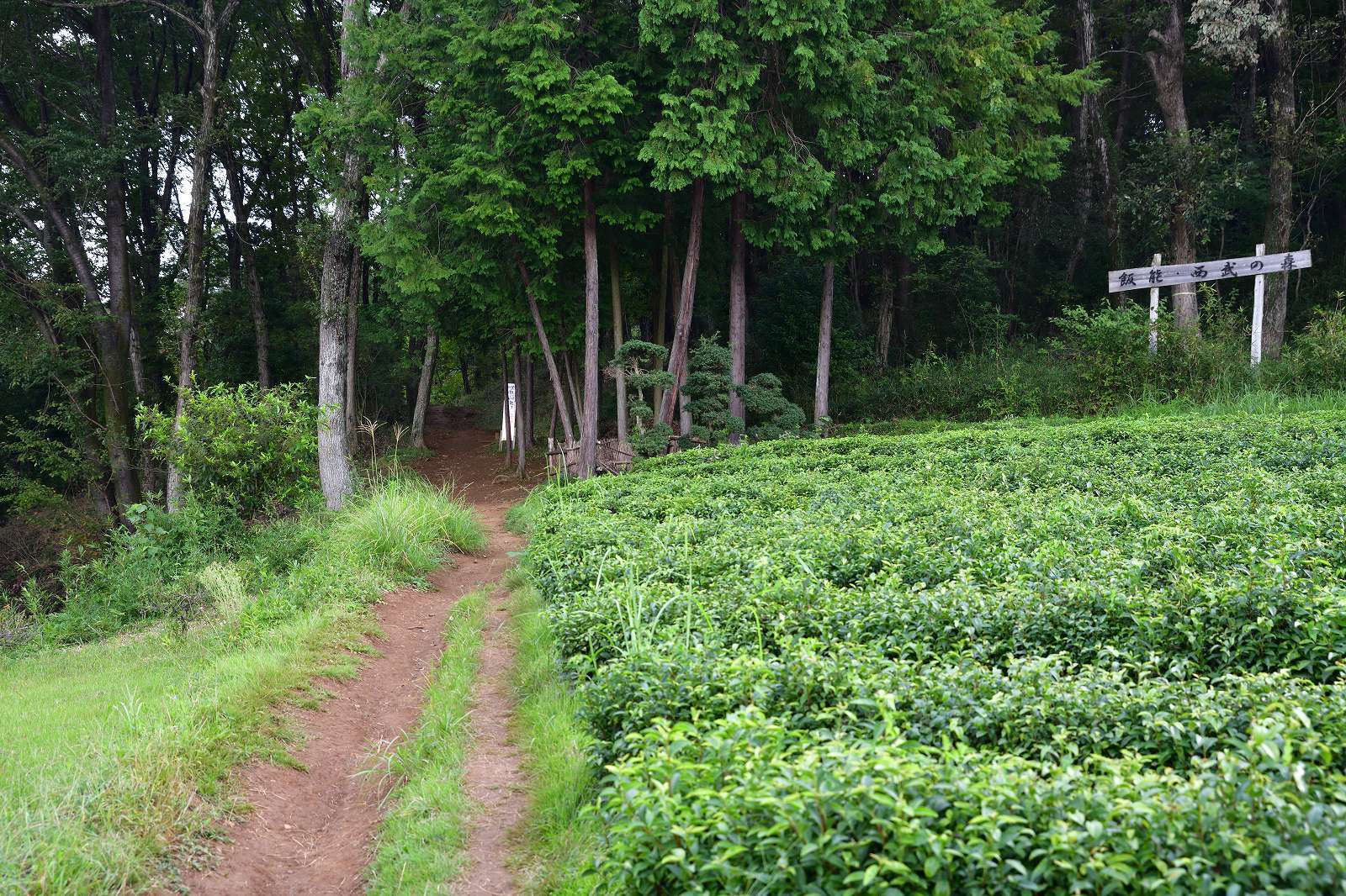 d0328977_20191137.jpg