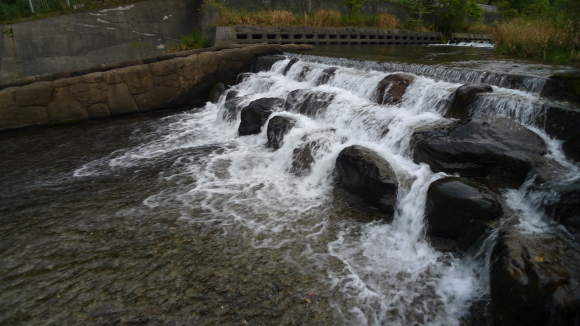 c0212083_17231028.jpg