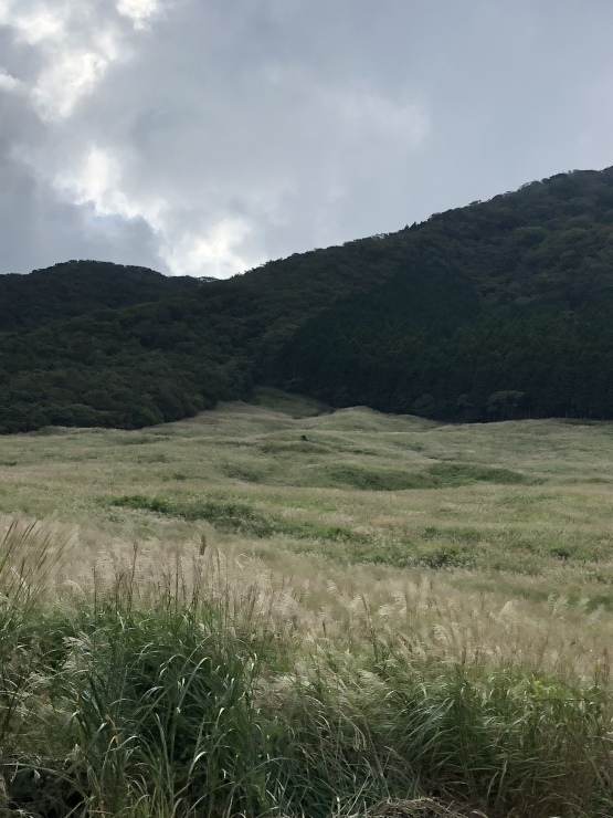 2018年9月24日  外ワーク_b0098584_19144851.jpeg