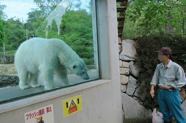 2018年8月 とくしま動物園 その2_a0052986_19151026.jpg