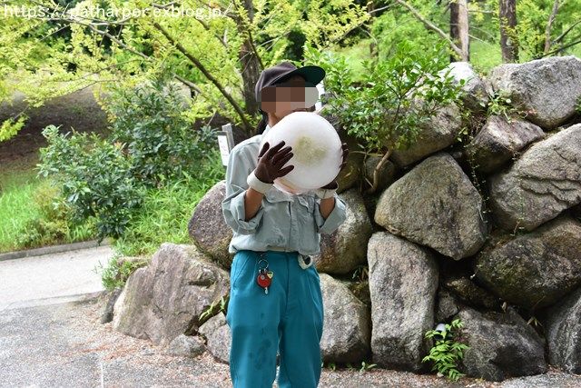 2018年8月 とくしま動物園 その2_a0052986_19435227.jpg