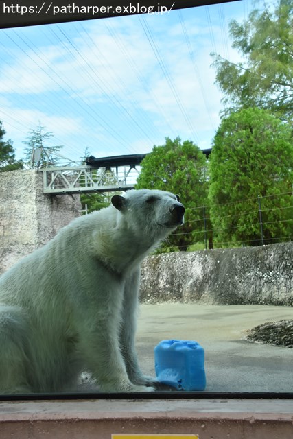 2018年8月 とくしま動物園 その2_a0052986_1982422.jpg