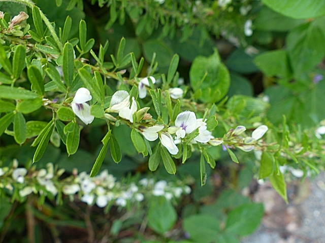 f0357487_21211422.jpg