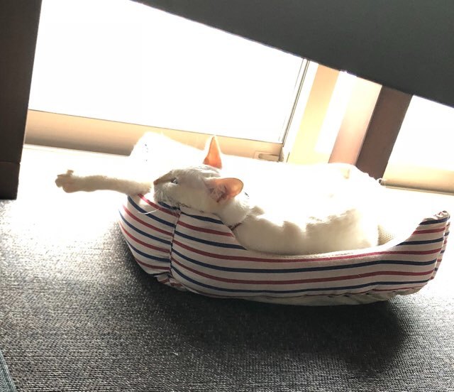 b0035391_23133409.jpeg