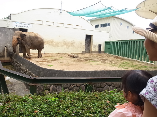 王子動物園にやってきたでいでいガール。_f0370091_17243045.jpg