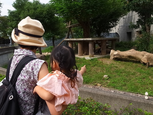 王子動物園にやってきたでいでいガール。_f0370091_17243422.jpg