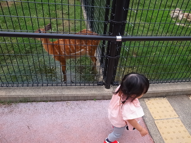 王子動物園にやってきたでいでいガール。_f0370091_17300273.jpg