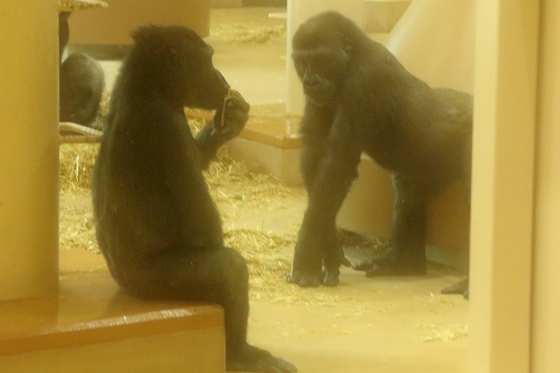 b0291402_20261697.jpg