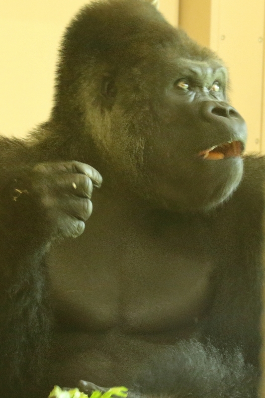 b0291402_20263910.jpg