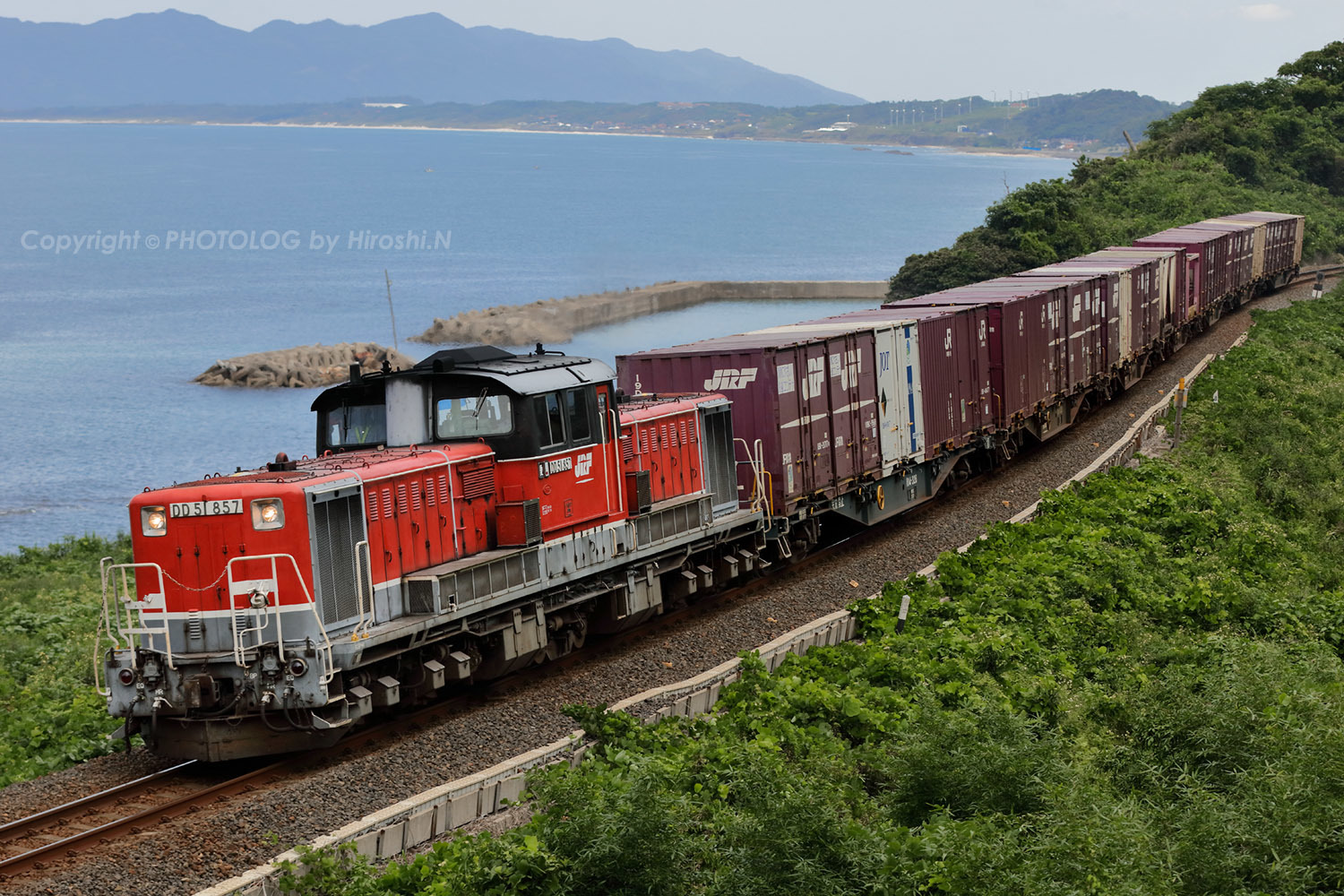 匿名配送 戦線復帰 50枚 匿名配送 戦線復帰 50枚 匿名配送 戦線復帰