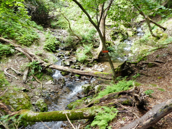 d0170615_08540059.jpg