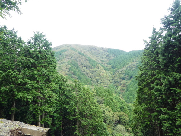 d0170615_08543866.jpg