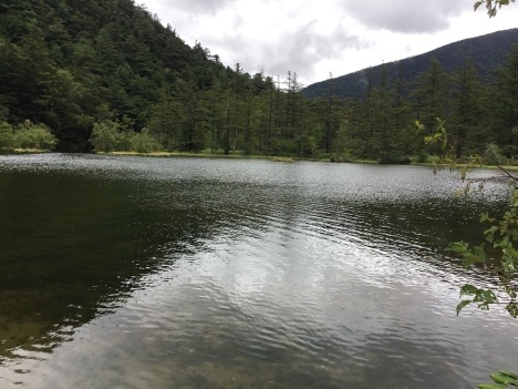 初めての上高地、雨の明神池。_d0029716_18073193.jpeg