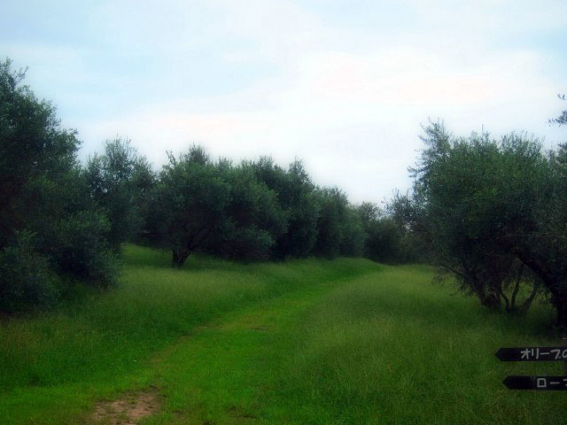 d0295818_00060029.jpg