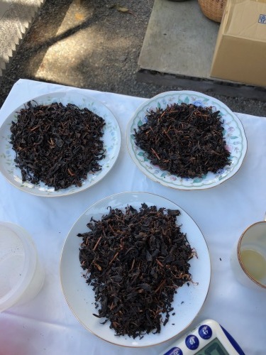 丸子紅茶作り体験_b0158721_06552964.jpg
