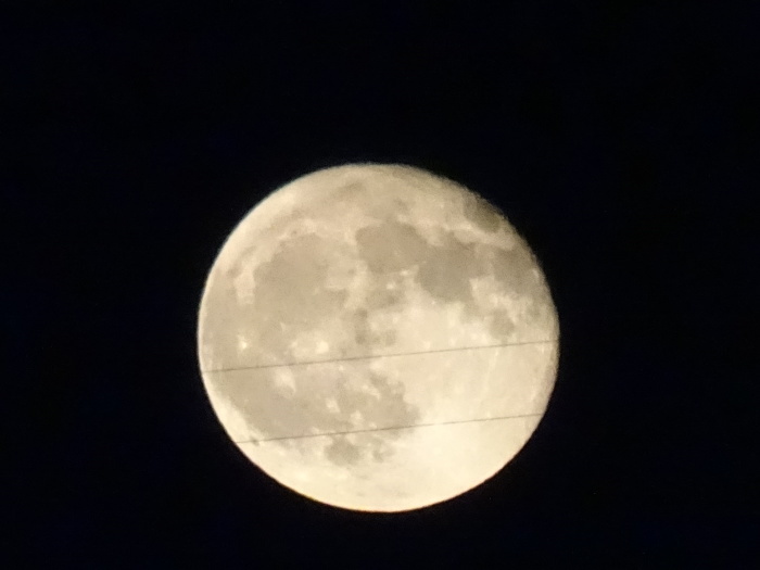 中秋の名月・・・(3903)_e0349324_15151525.jpg