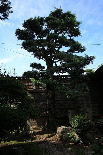 松阪商人が暮らした旧長谷川邸見学(その3)_e0321325_13490493.jpg
