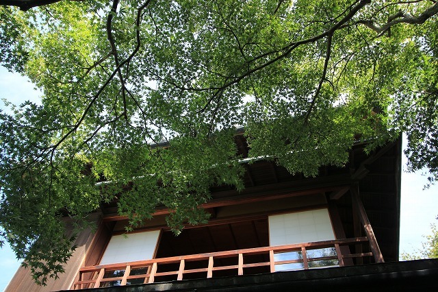 松阪商人が暮らした旧長谷川邸見学(その3)_e0321325_13503627.jpg