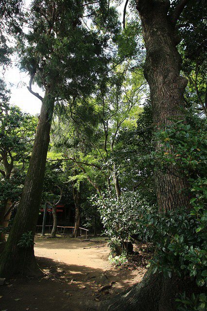 松阪商人が暮らした旧長谷川邸見学(その3)_e0321325_13514616.jpg