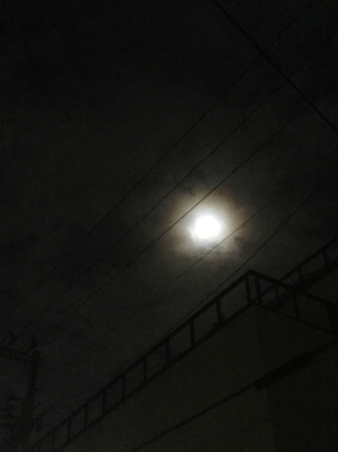 c0103830_20345619.jpg