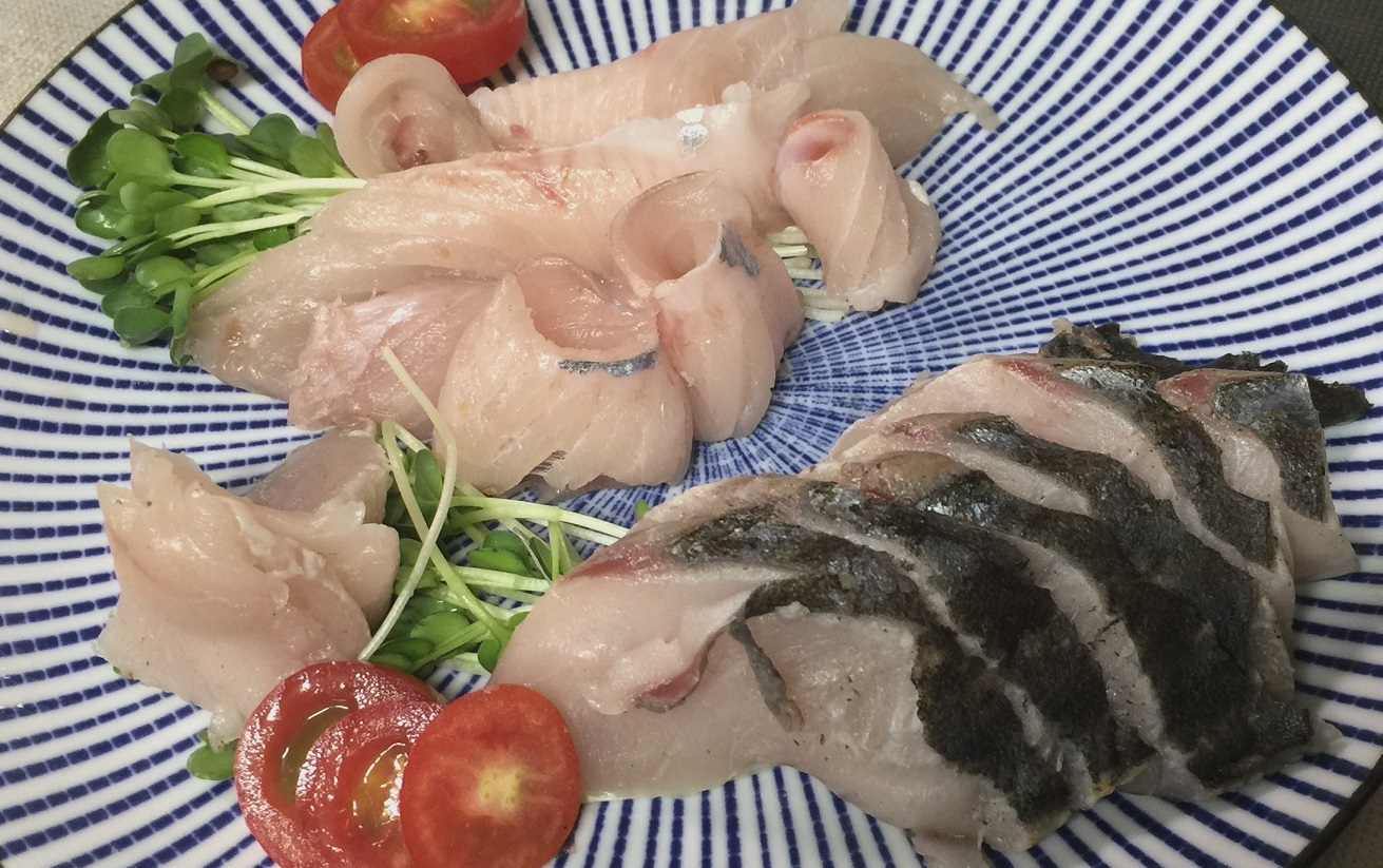 沖メバルと鰆で夕食 新 直哉の釣り魚料理 沖メバルと鰆で夕食 新 直哉の釣り魚料理