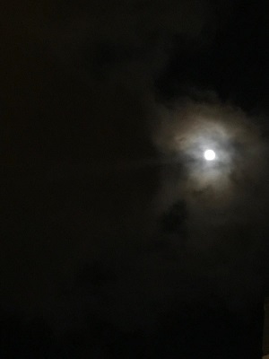f0371533_16513695.jpg