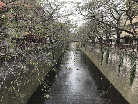 a0317236_07362963.jpeg