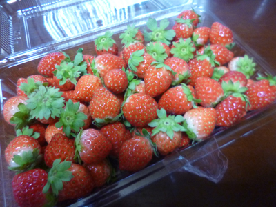c0343936_21341489.jpg